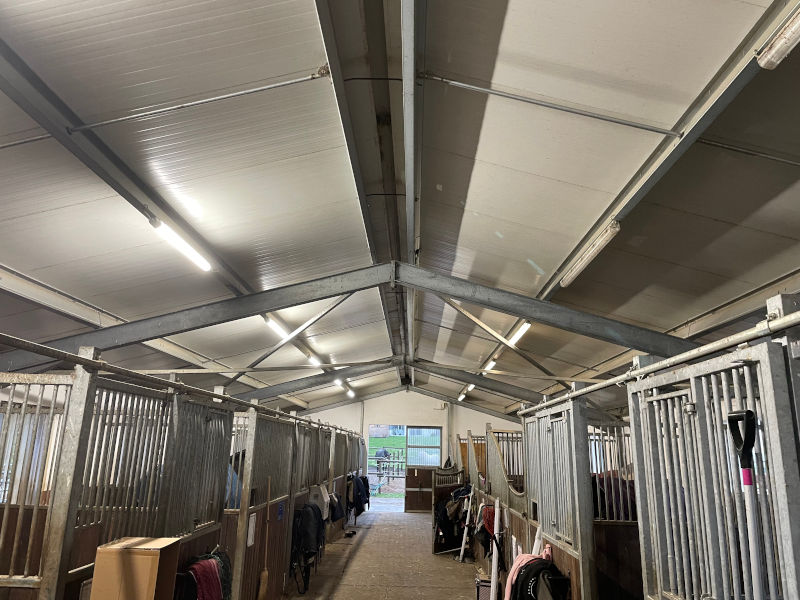 Vergleich altes Licht vs. neues LED-Licht im Pferdestall